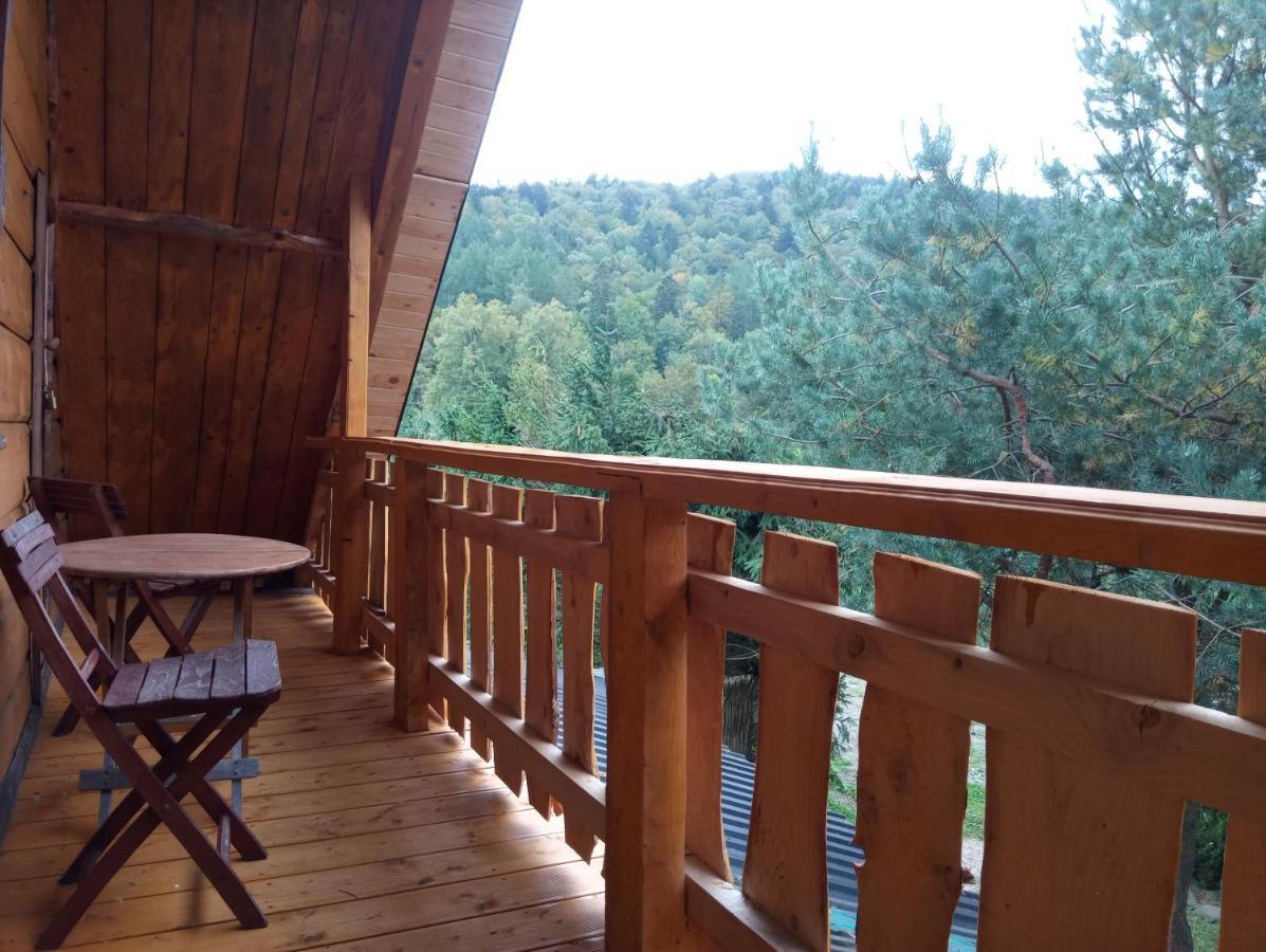 Cztery Pory Roku - Dom Villa Lutowiska Kültér fotó